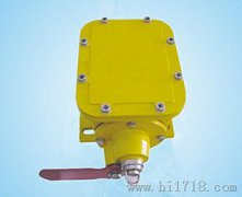 YH-PLR/50縱向撕裂開關(guān)，撕裂傳感器隔爆型